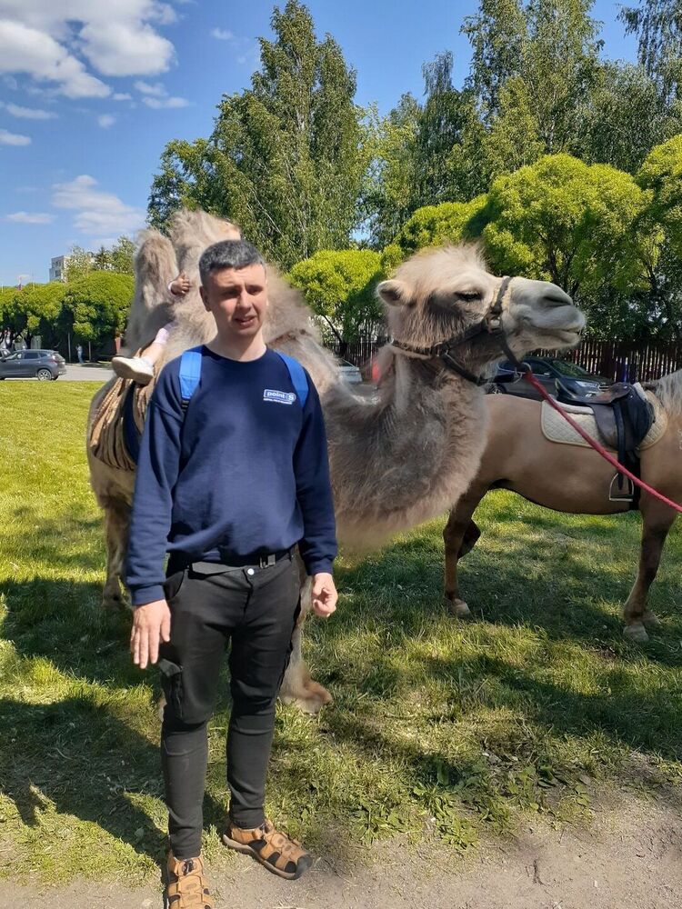  53769838  , 36 ,    -