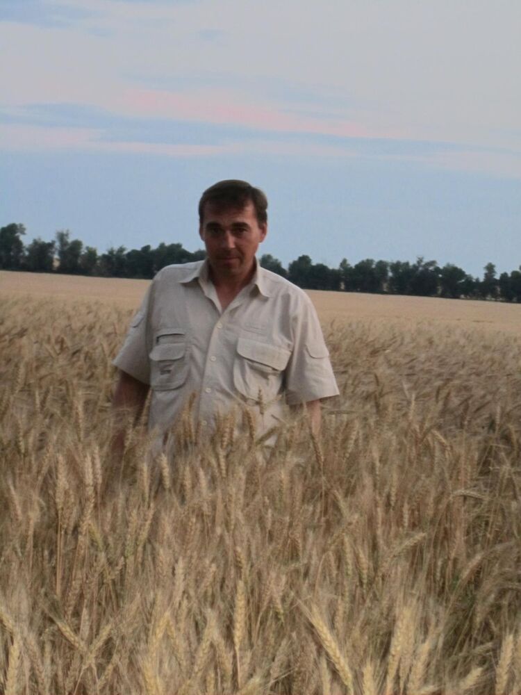 ���� 6856358 ������� ����, 50 ���, ���� ���������� � ���������