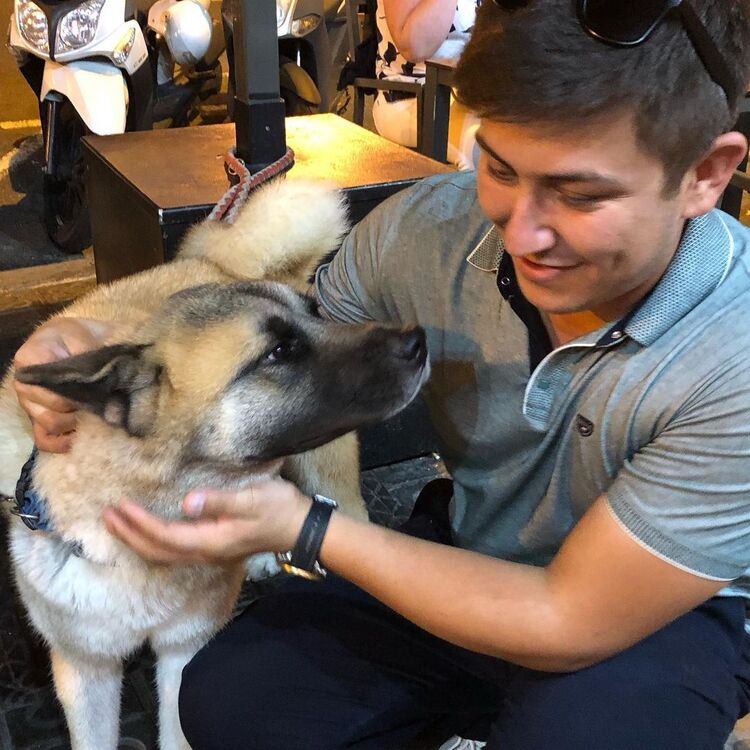 ���������� ������, ���� ������� �����, 30 ���, ������������ ��� ������