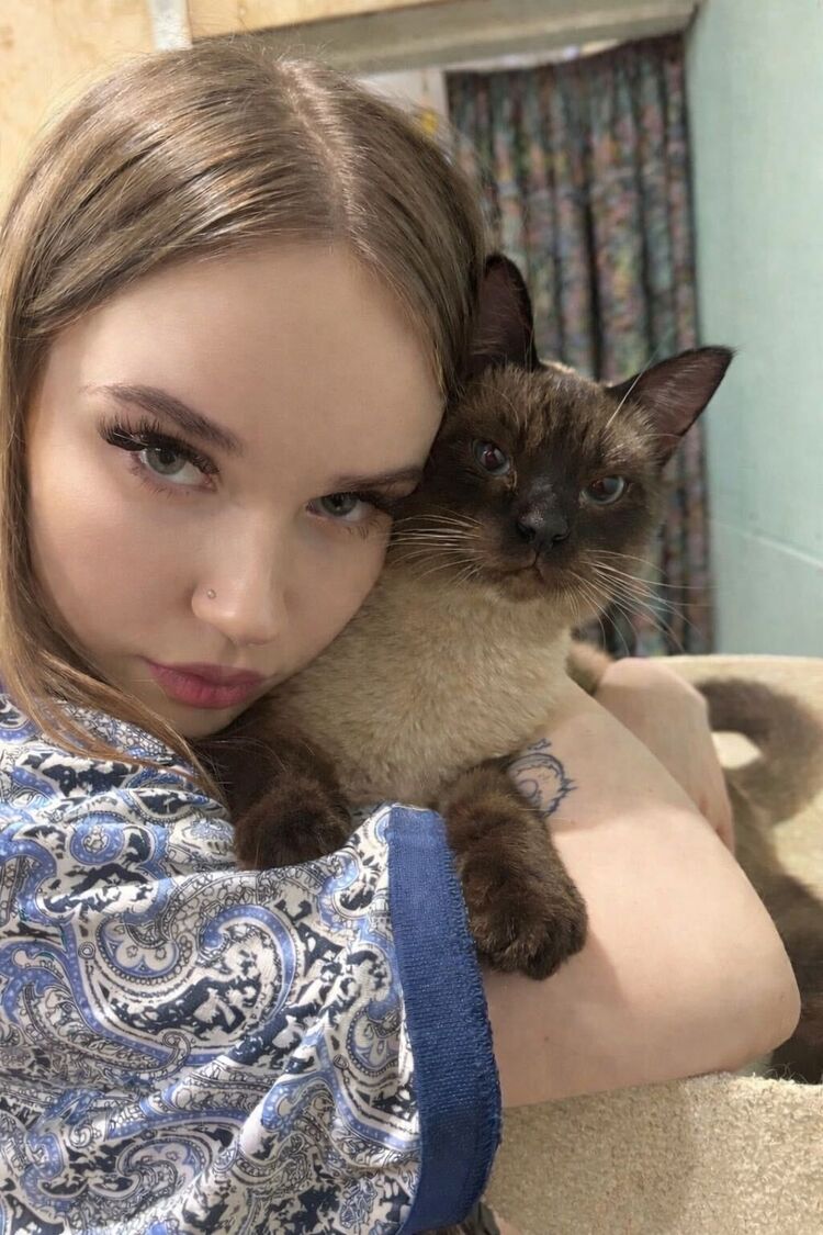 ���������� ������, ���� ������� �����, 22 ����, ������������ ��� ������, ����� � ���������, ���������