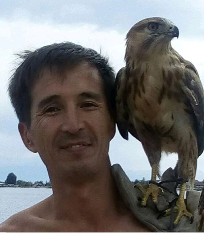 ���� 31110778 ������� �����, 48 ���, ���� ���������� � �������