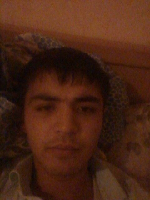  8611298  Alimardon, 34 ,    