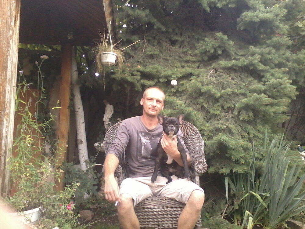 ���������� �����������, ���� ������� ������, 41 ���, ������������ ��� ������, ����� � ���������, c�������� ���������