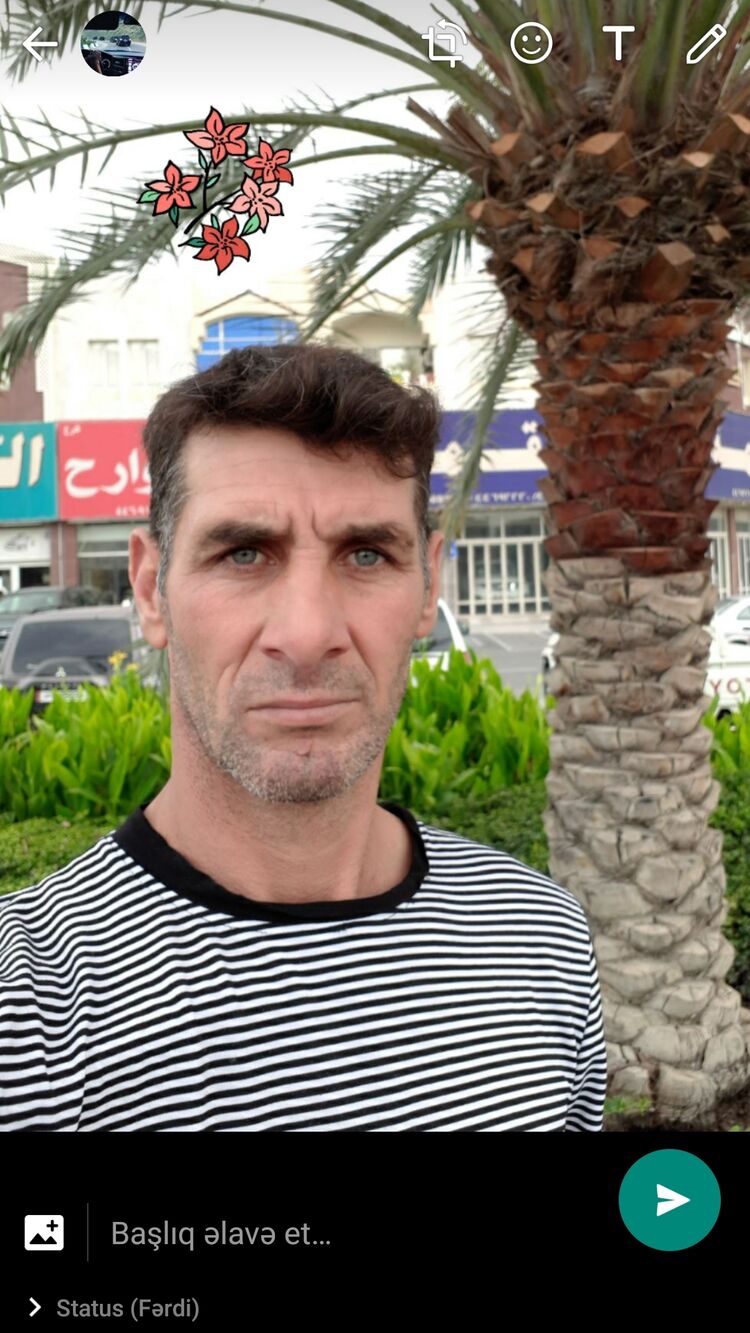  ,   Aflatun, 50 ,   ,   