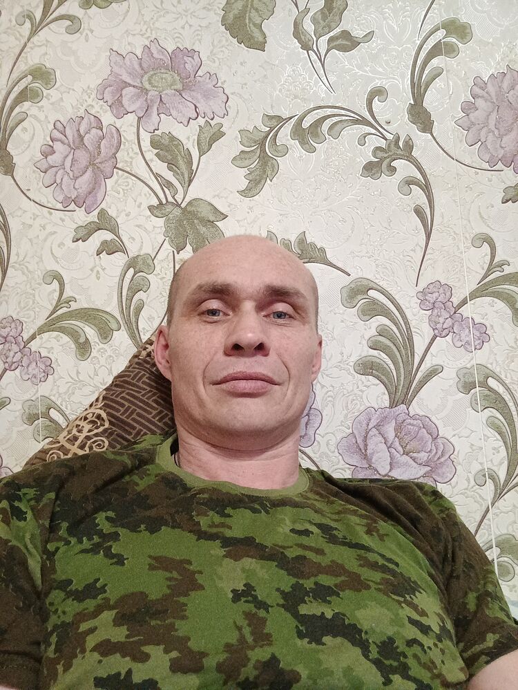  33379598  , 41 ,    
