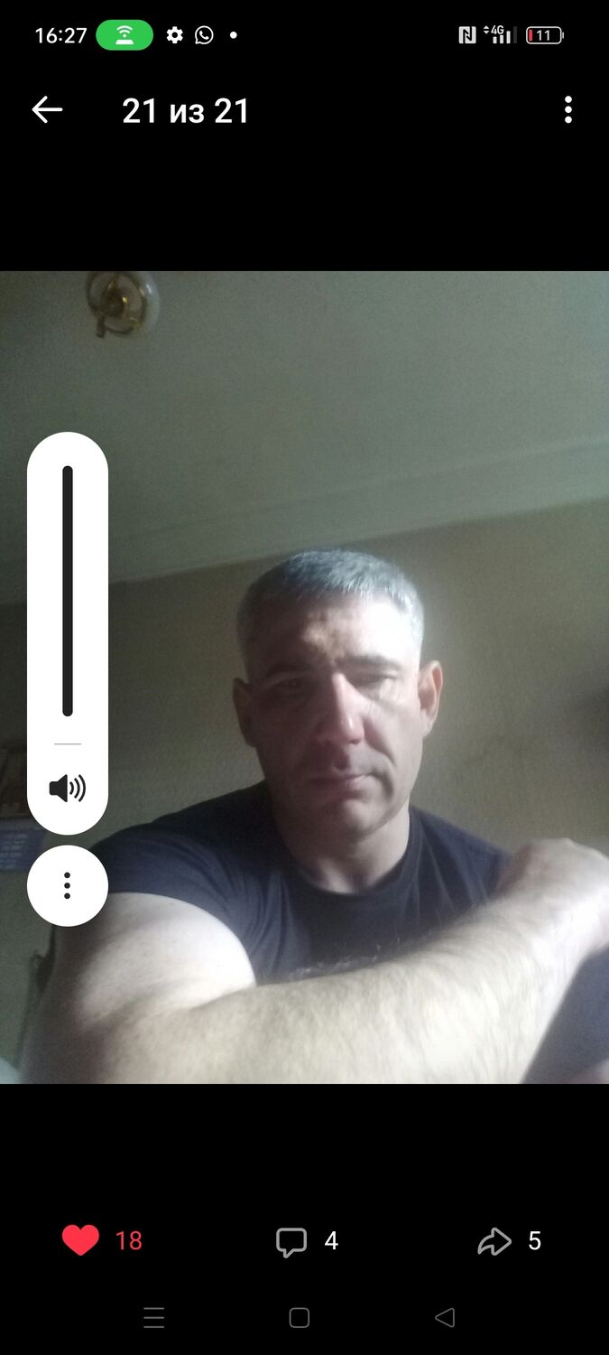  36420708  , 49 ,    