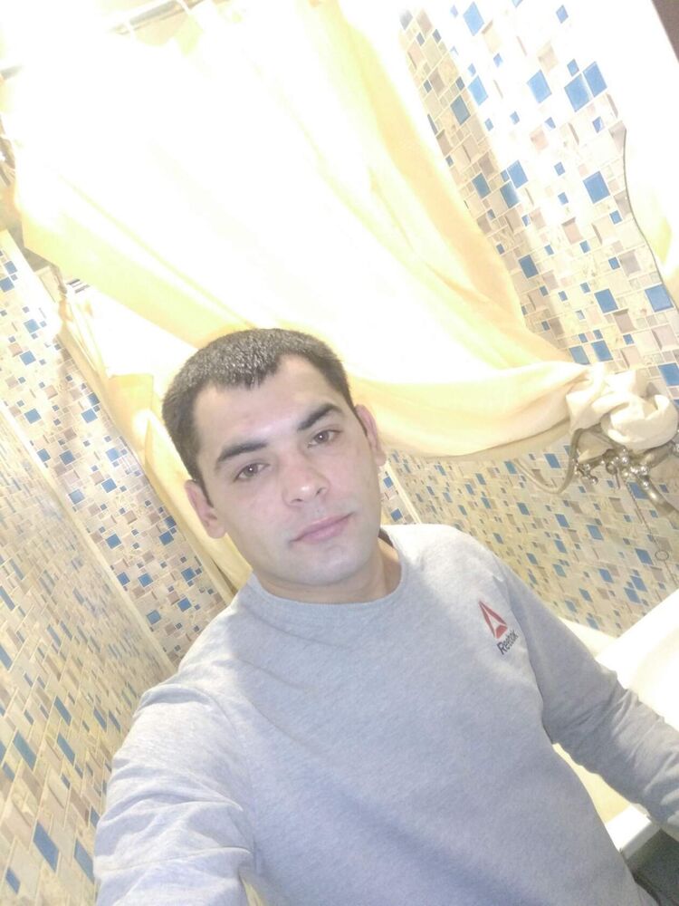  42419278  , 31 ,    