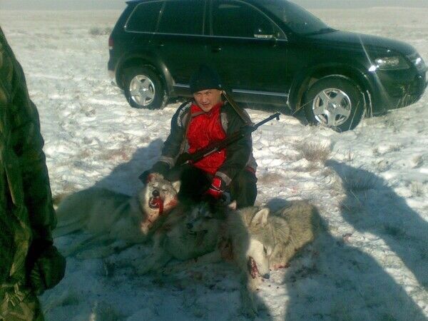 ���� 5432818 ������� �����, 60 ���, ���� ���������� � ������