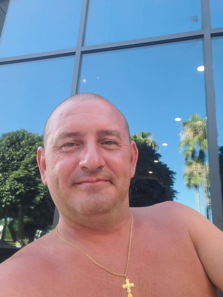  52784538  , 43 ,    