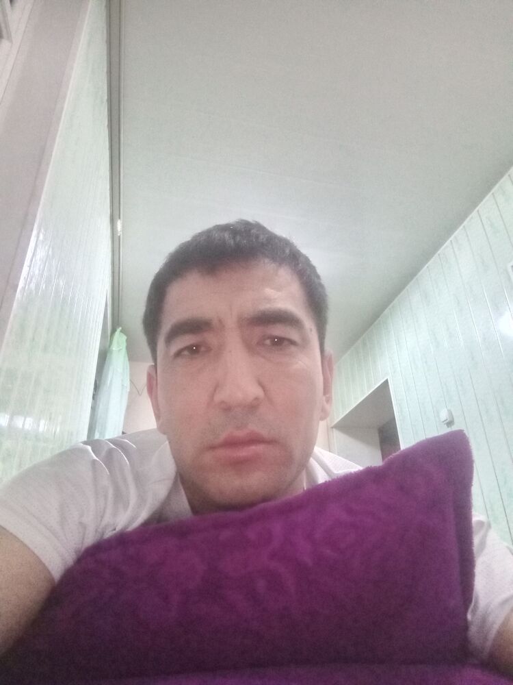  50487298  , 38 ,    