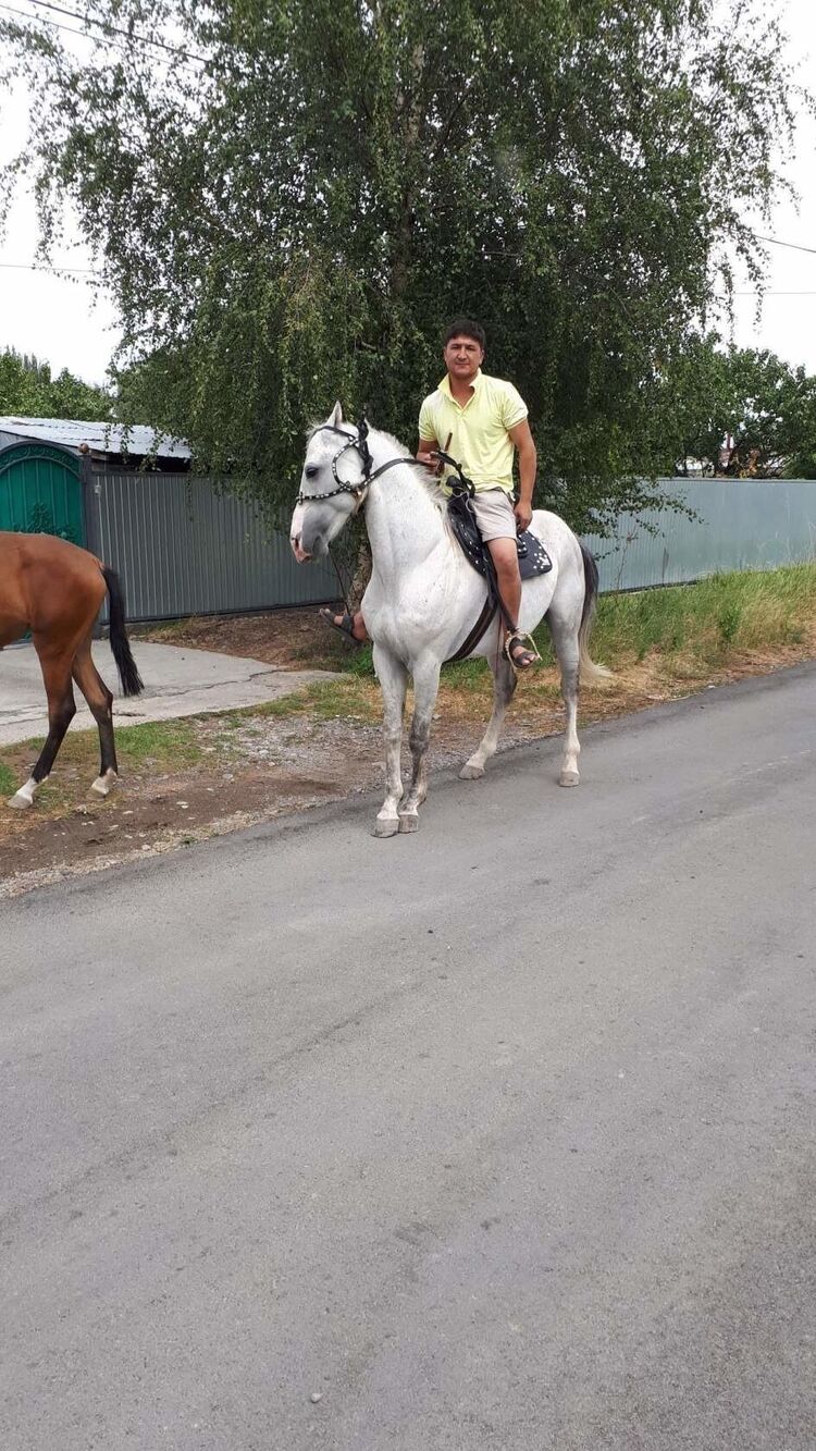 ���������� ������, ���� ������� ���, 41 ���, ������������ ��� ������, ����� � ���������