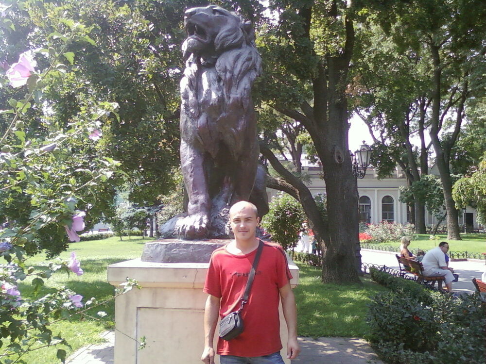  8407278  , 46 ,    -