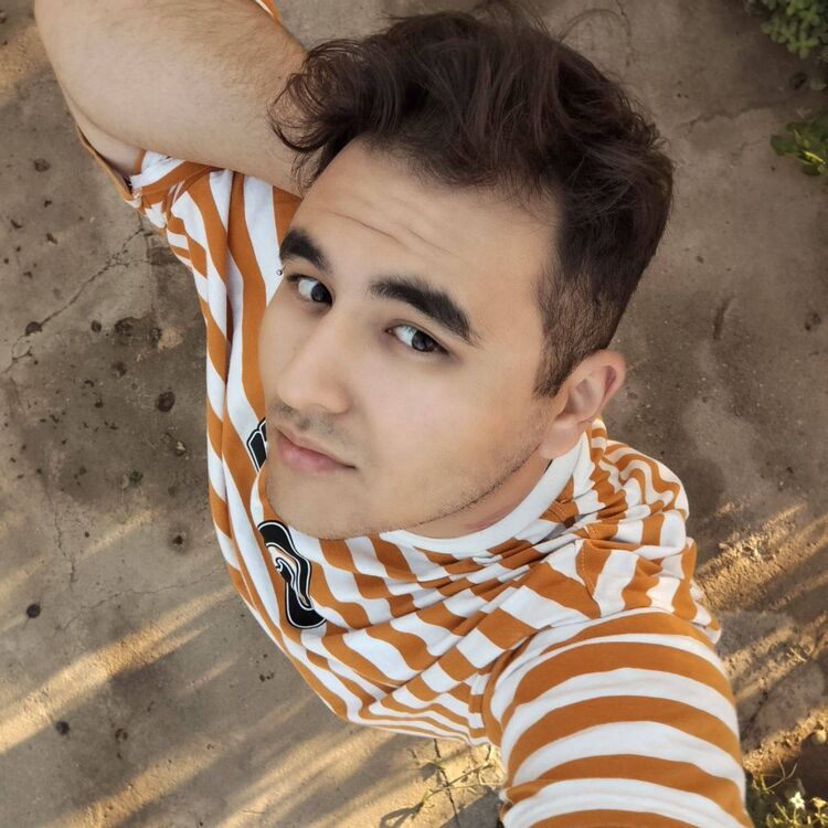  53120868  , 24 ,    