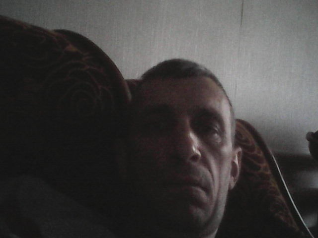  ,   Samsa samsa, 48 ,   