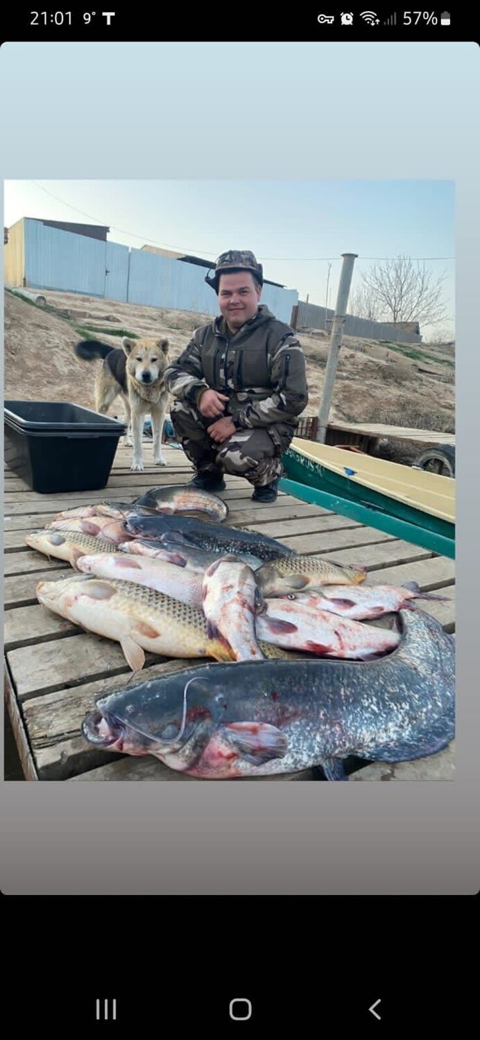 ���� 35240378 ������� �����, 30 ���, ���� ���������� � ����������