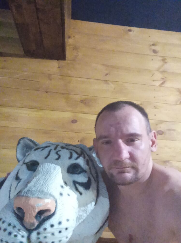  43860858  , 37 ,    