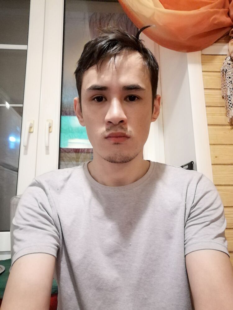  53788338  , 31 ,    