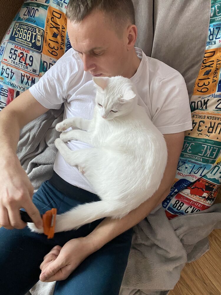 ���� 27556348 ������� ����������, 36 ���, ���� ���������� � ������������