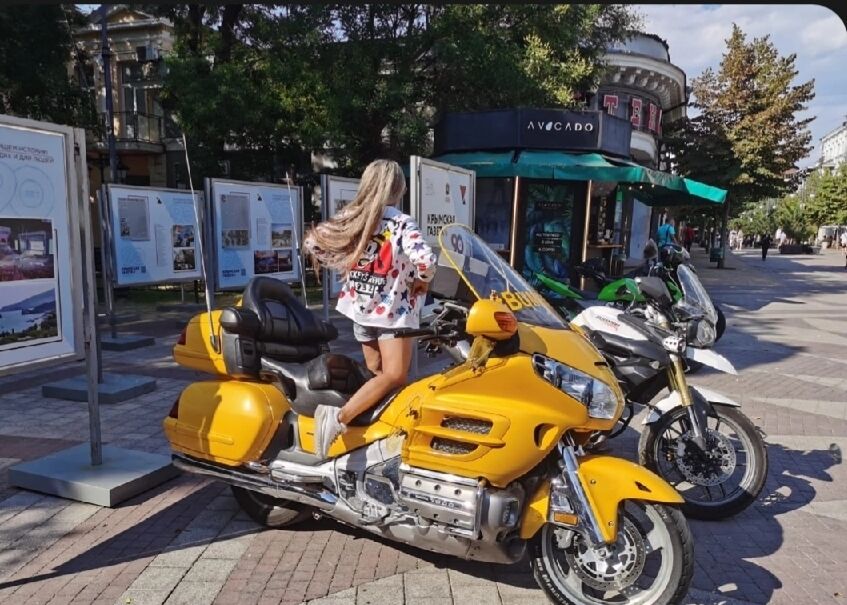  46941748  , 44 ,    
