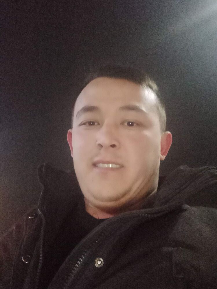  52884528  , 31 ,    