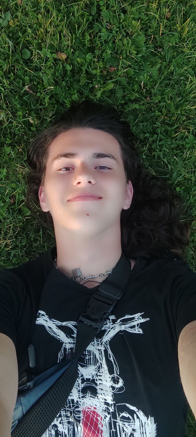  33536598  , 20 ,    -