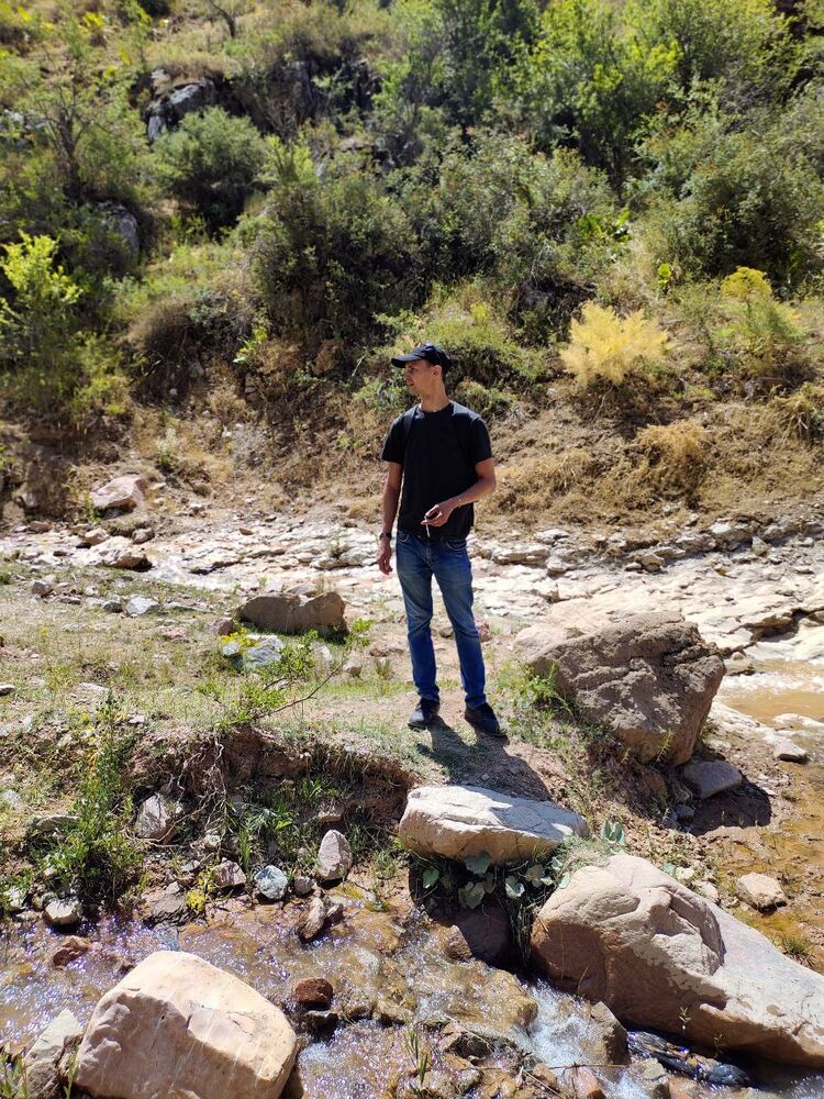 ���� 38603778 ������� ������, 30 ���, ���� ���������� � ��������