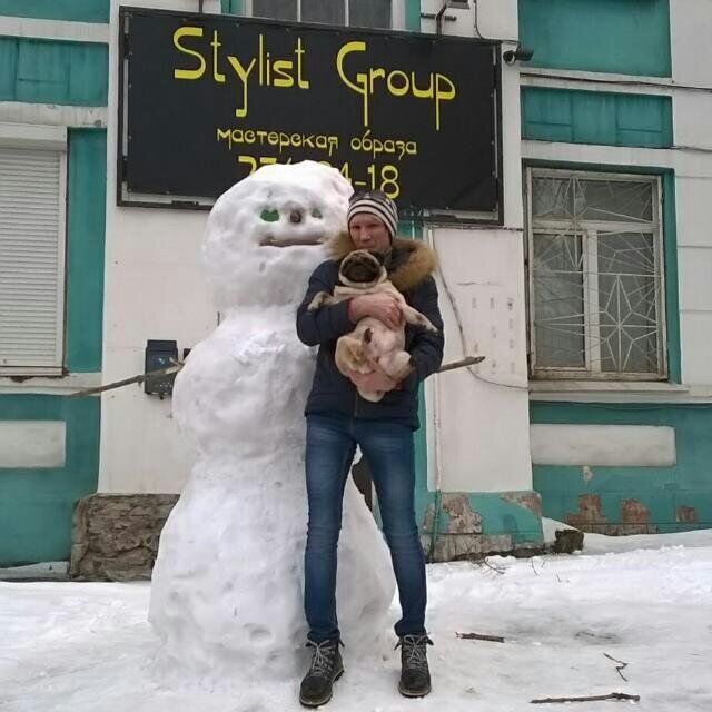  32883758  , 52 ,    