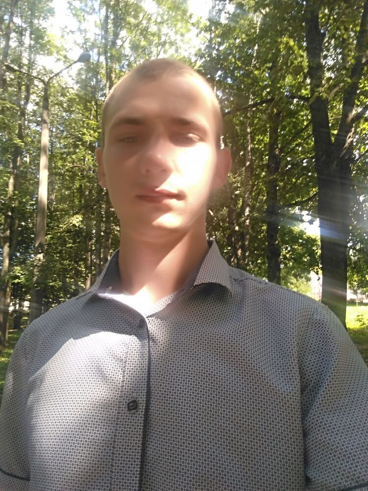  33146728  , 28 ,    