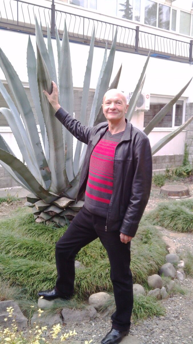 ���� 5371528 ������� ������, 66 ���, ���� ���������� � ������