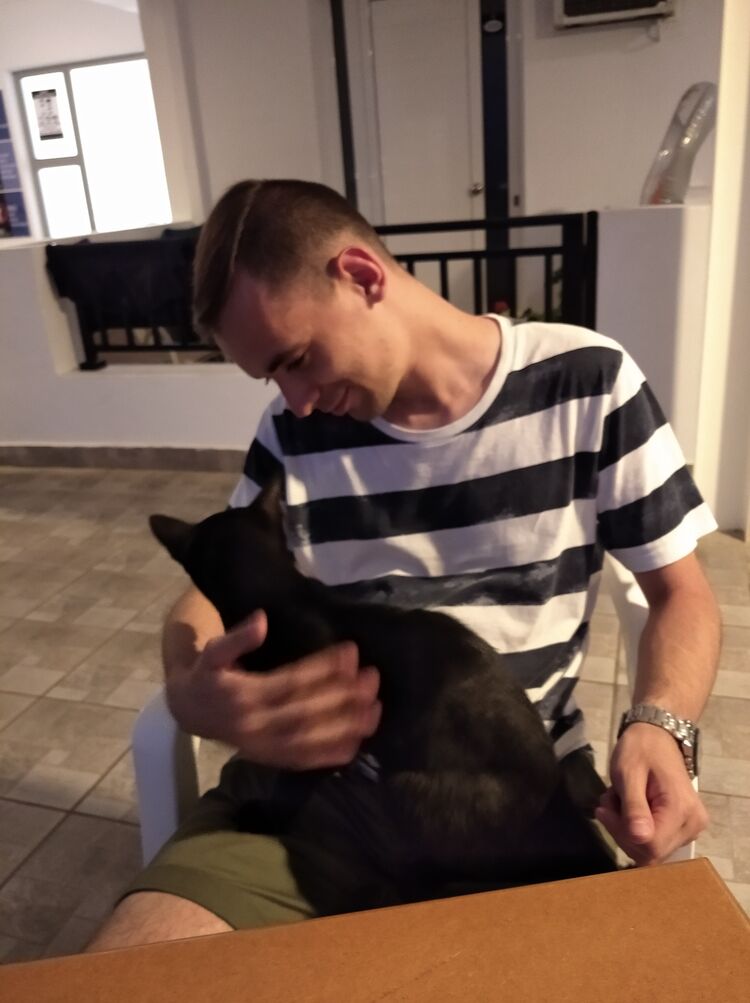  51168858  , 31 ,    Letnany