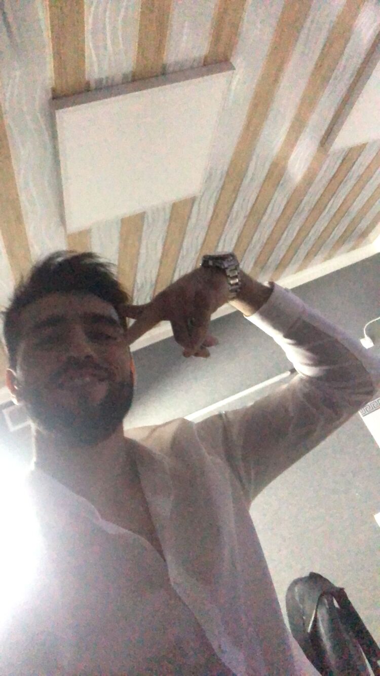 ���������� ������, ���� ������� ����, 31 ���, ������������ ��� ������, ����� � ���������