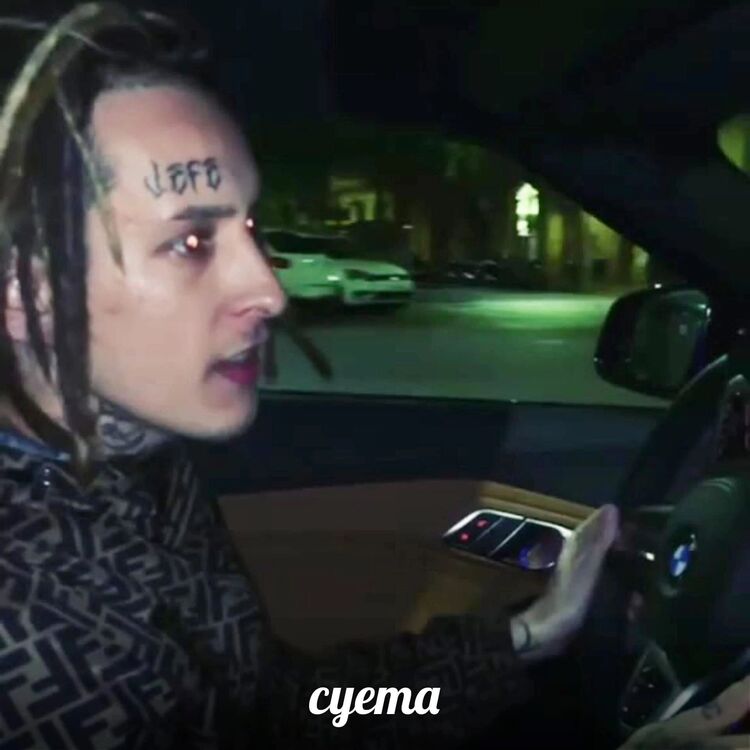  -,   , 22 ,   ,   