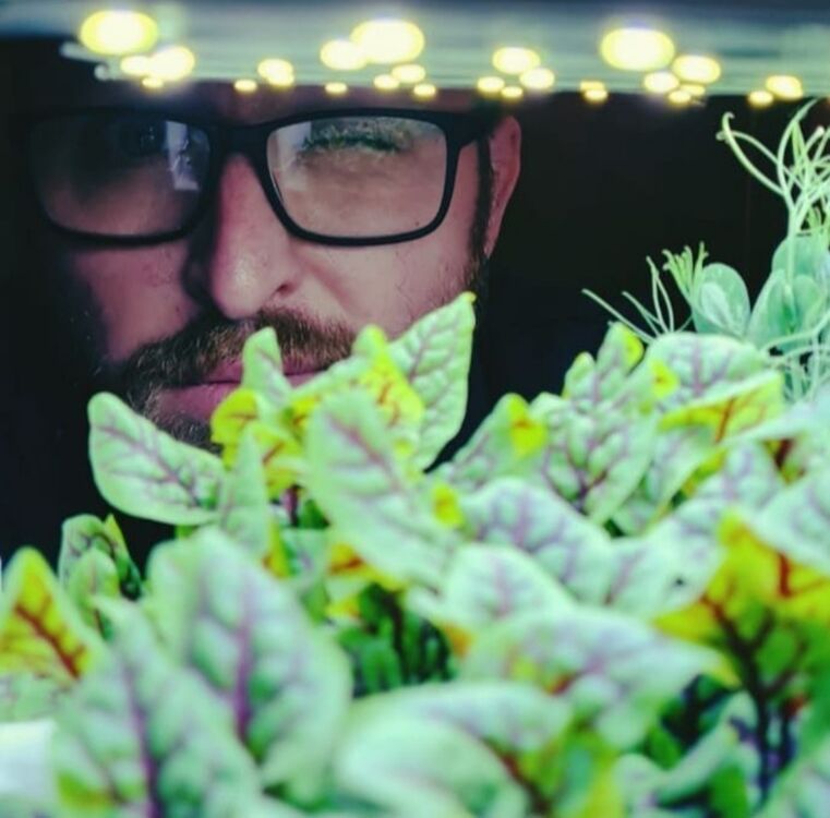 ���������� �������������, ���� ������� �����, 35 ���, ������������ ��� ������, ����� � ���������, c�������� ���������, ���������