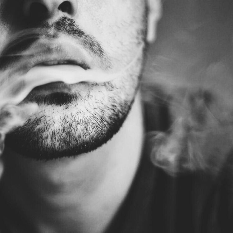 ���� 55659038 ������� Gog, 33 ����, ���� ���������� � �����-����������