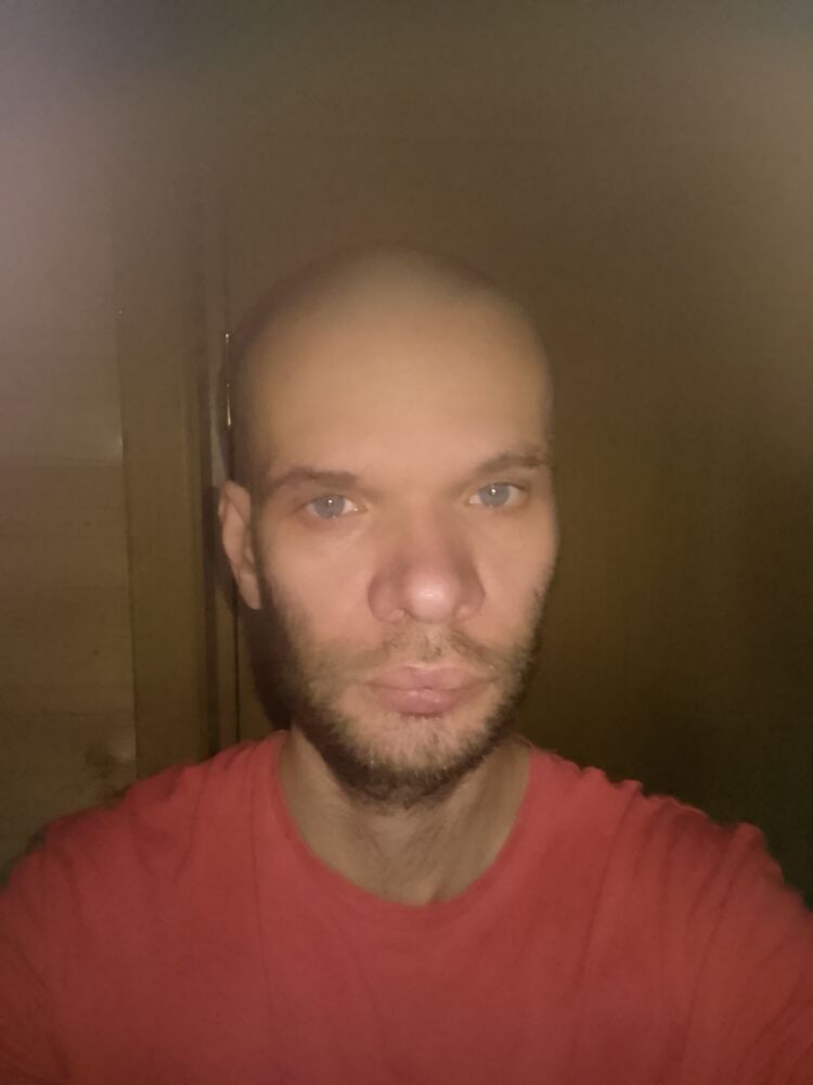  51967849  , 38 ,    