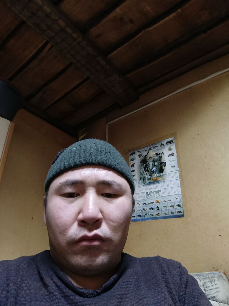  41444438  , 33 ,    
