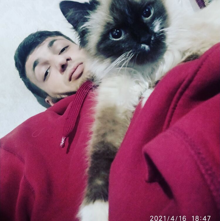 ���������� ����, ���� ������� ����, 30 ���, ������������ ��� ������, ����� � ���������