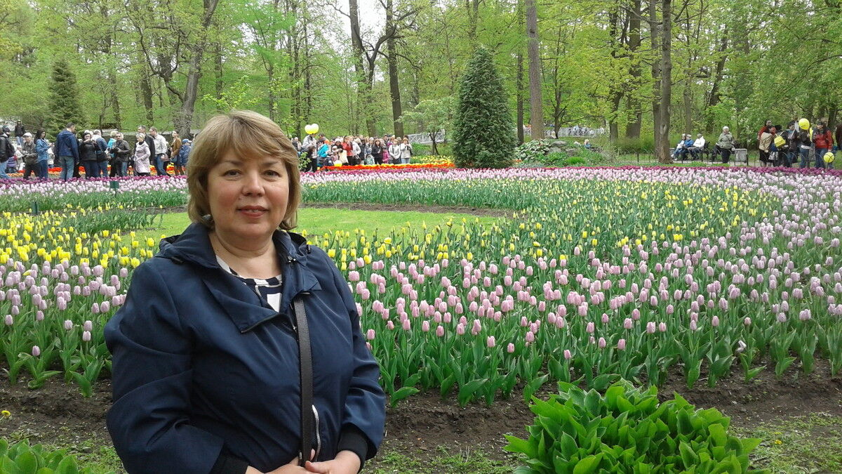  9876178  , 64 ,    -