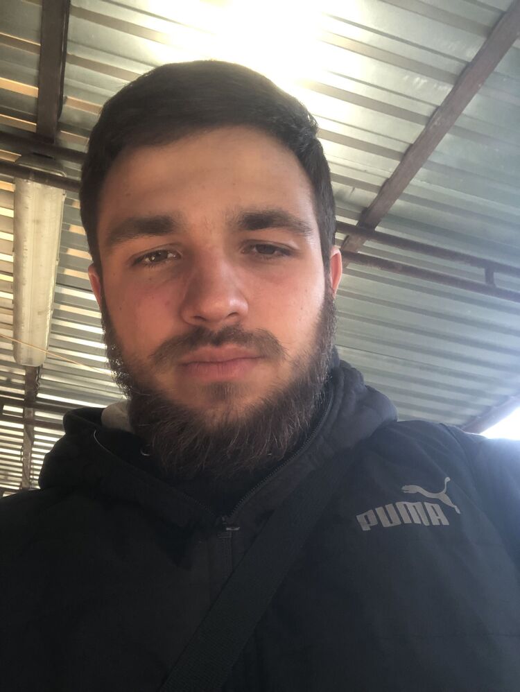  33572848  , 28 ,    