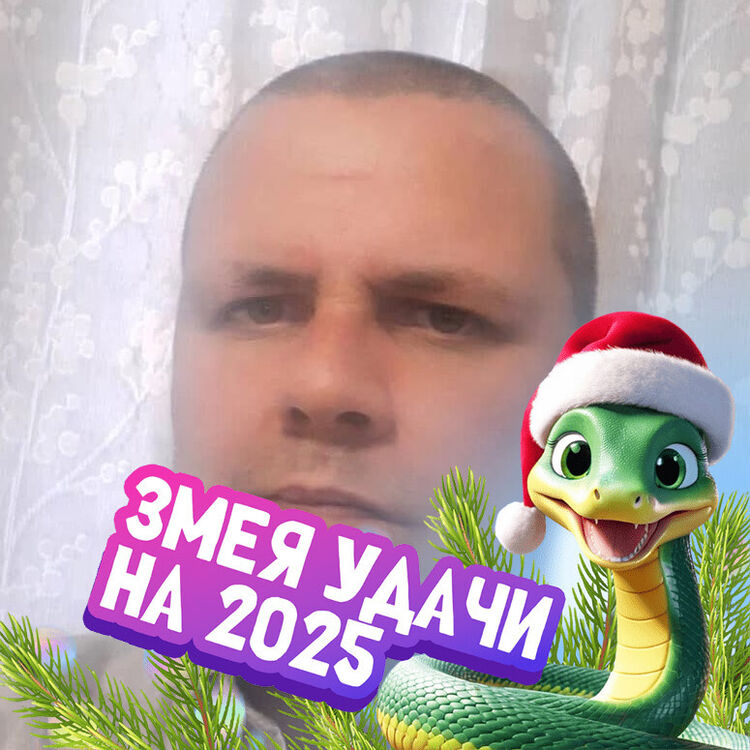  54731848  , 43 ,    -