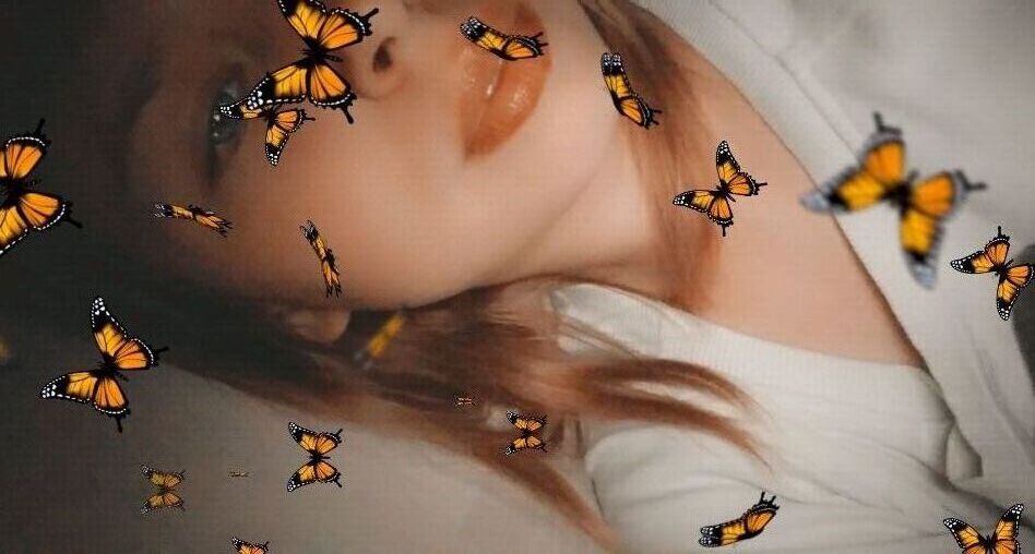 ���� 25982068 ������� ����������, 21 ���, ���� ���������� � ��������