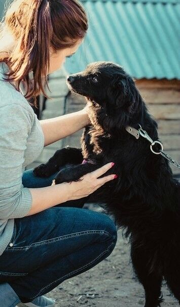 ���������� ����, ���� ������� ����, 36 ���, ������������ ��� ������, ���������