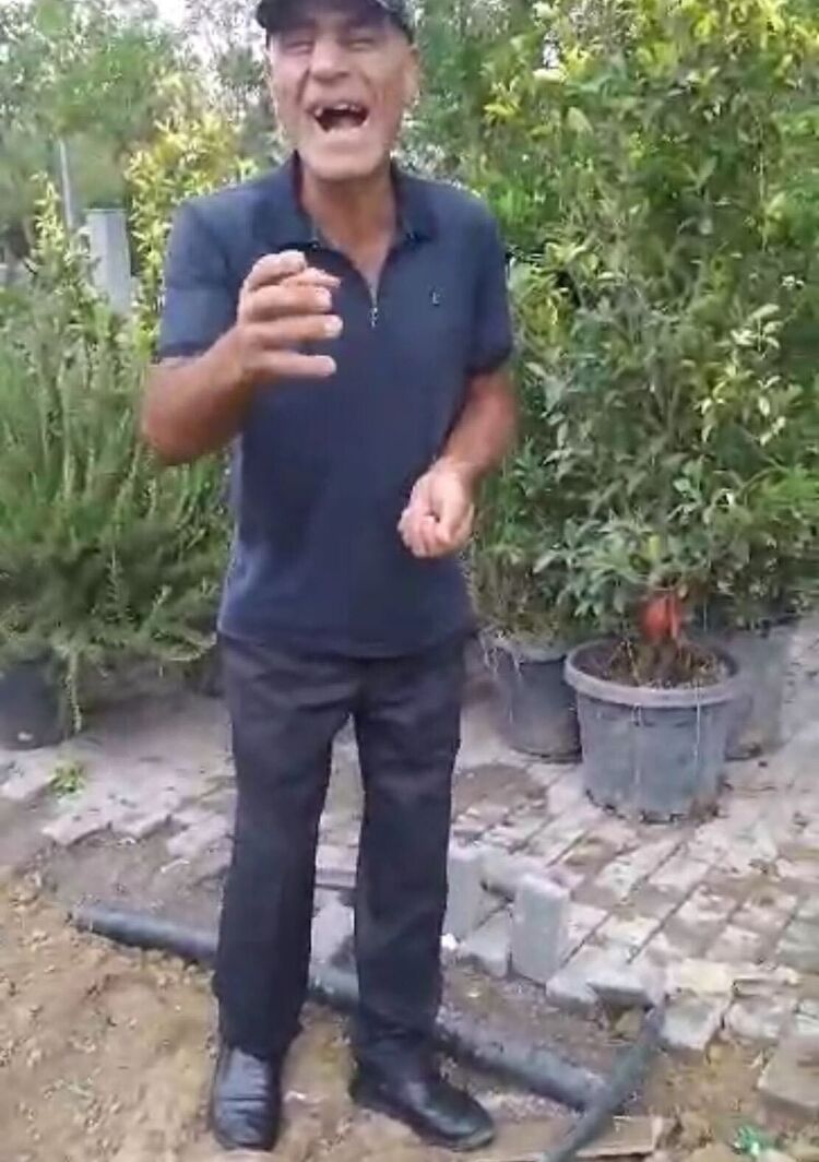  38204628  , 37 ,    