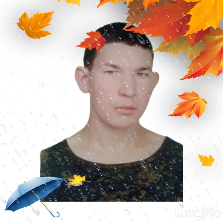  53278048  , 26 ,    