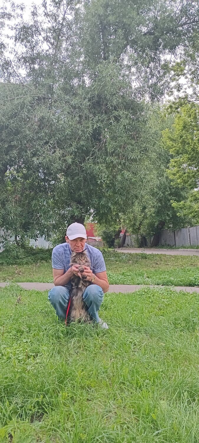 ���� 54166668 ������� �������, 57 ���, ���� ���������� � ���������