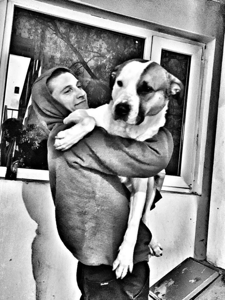 ���� 25949468 ������� ����, 33 ����, ���� ���������� � �����-����������