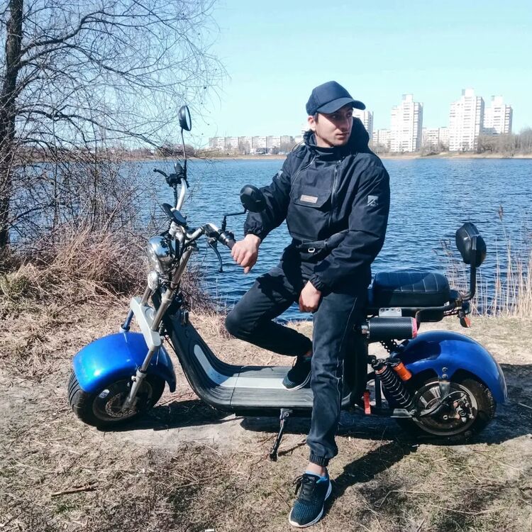  49980488  , 29 ,    