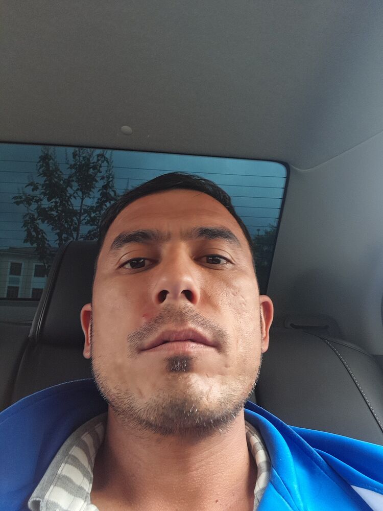  33804248  Elyor, 33 ,    