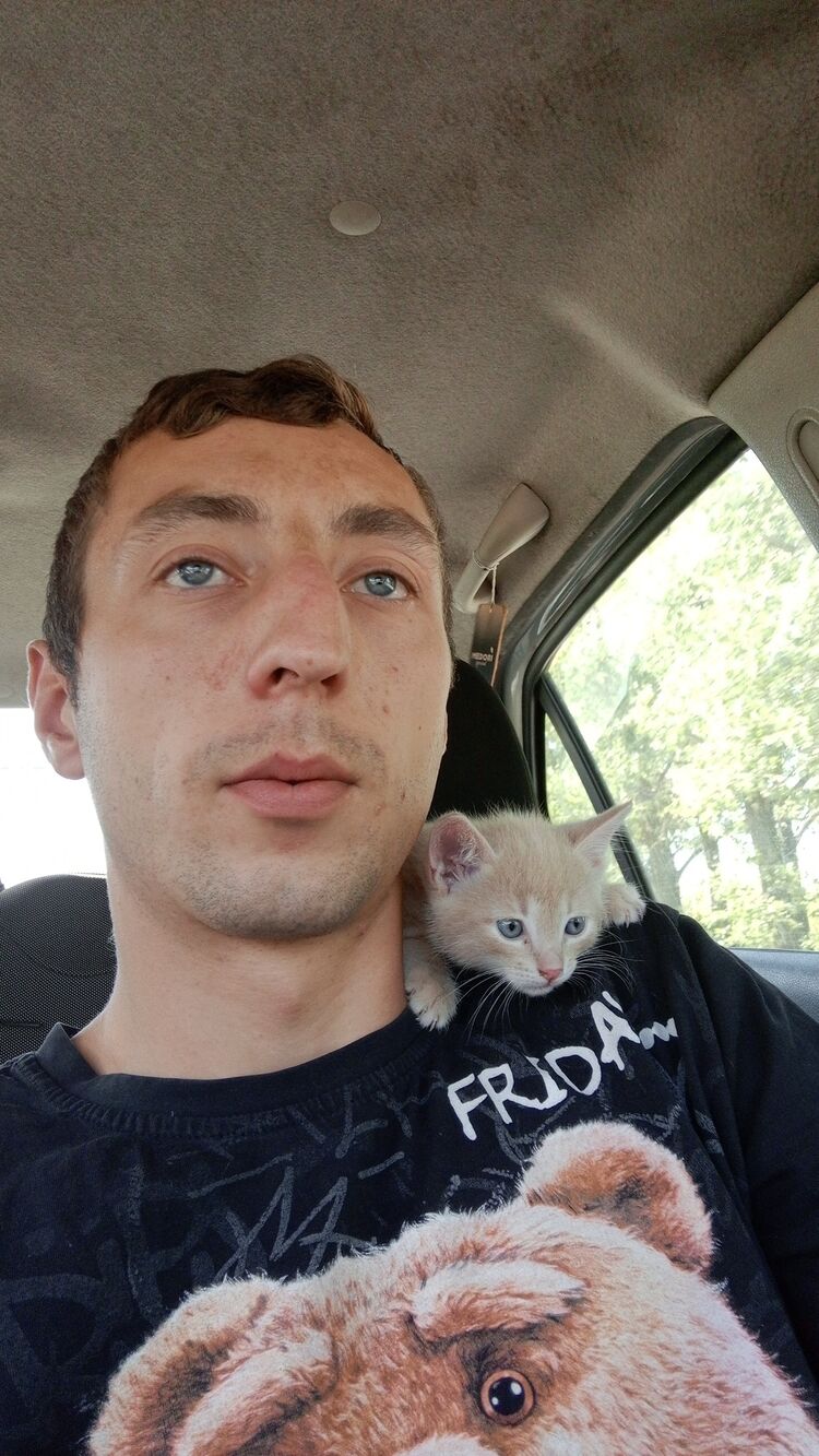 ���������� �������, ���� ������� ���������, 31 ���, ������������ ��� ������, ����� � ���������