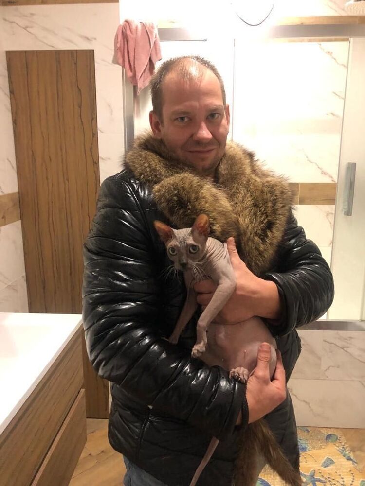 ���� 31231078 ������� ����, 38 ���, ���� ���������� � ����������